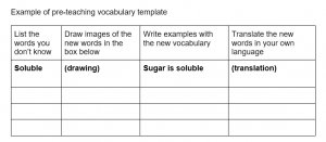 Pre Teaching Vocab Example